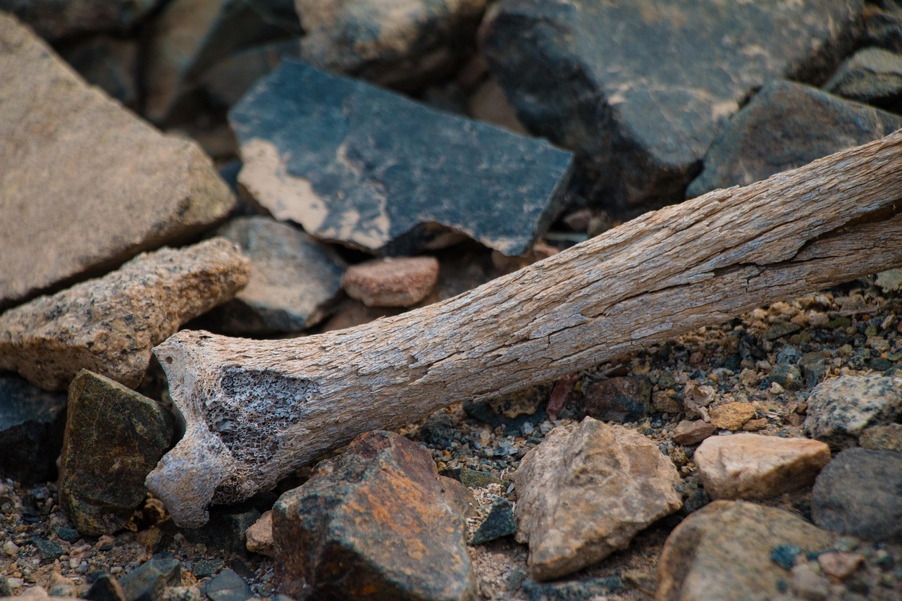 Immagine di un minerale essenziale per la salute delle ossa, simbolo di prevenzione contro l'osteoporosi.